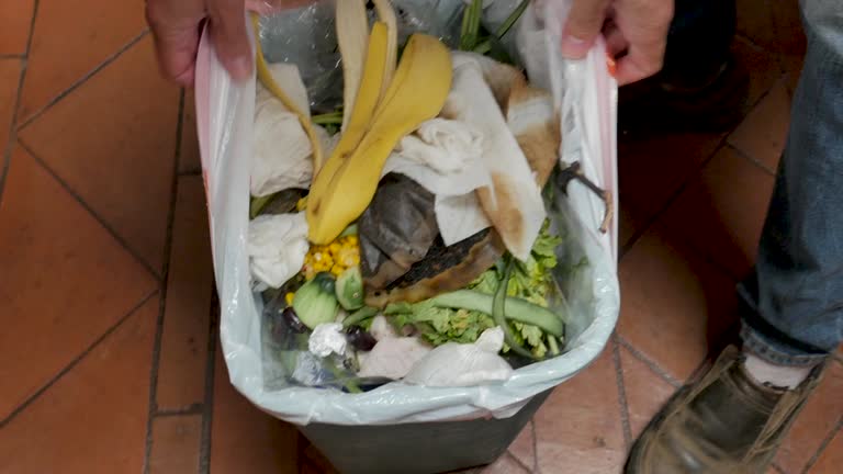 Best Yard Waste Removal  in Circle Pines, MN
